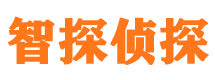 白下外遇调查取证